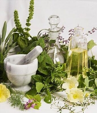 Infusions of medicinal plants for the treatment of varicose veins